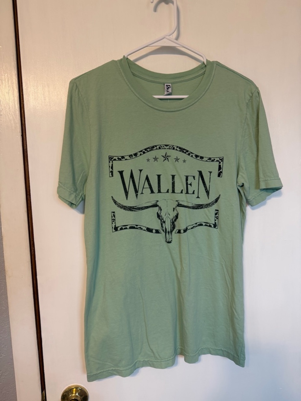 Light Green Short Sleeve Graphic Tee
